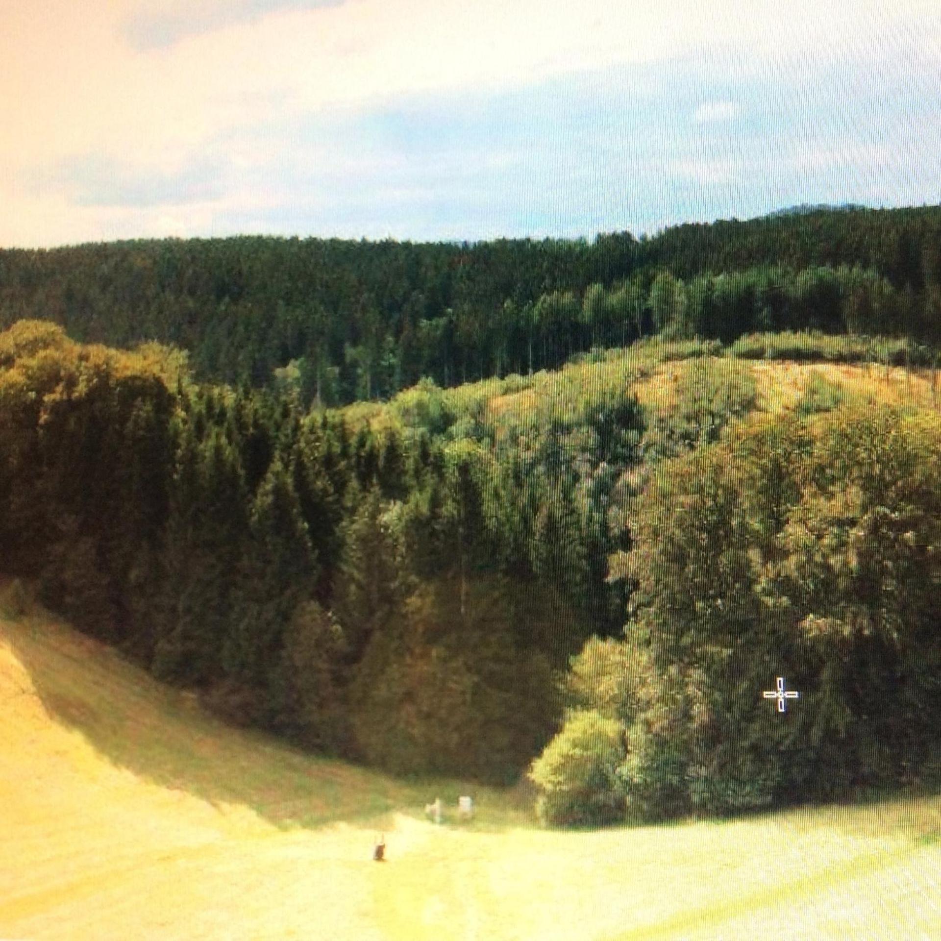 Fewo Romy Braunlage Dış mekan fotoğraf