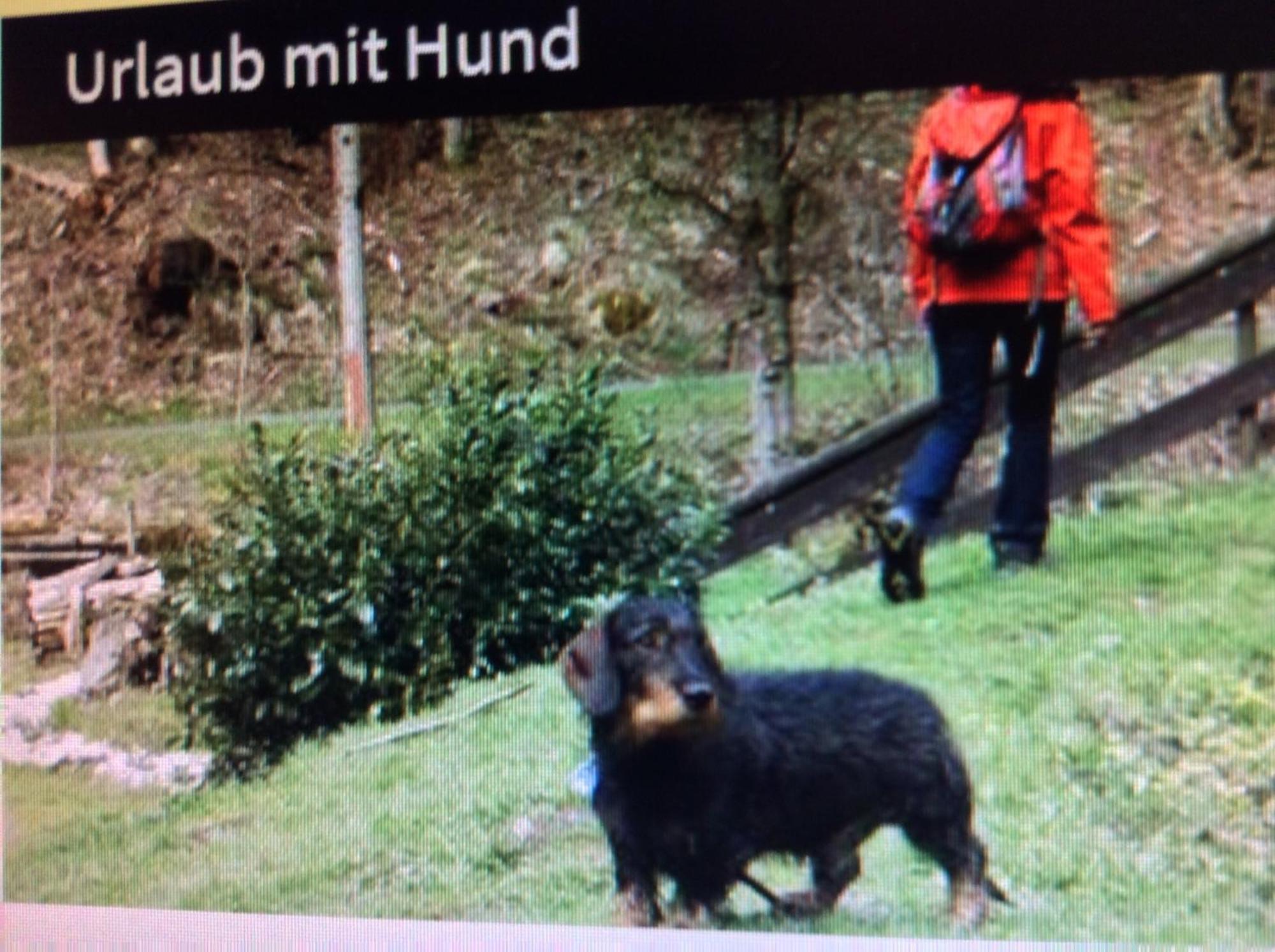 Fewo Romy Braunlage Dış mekan fotoğraf